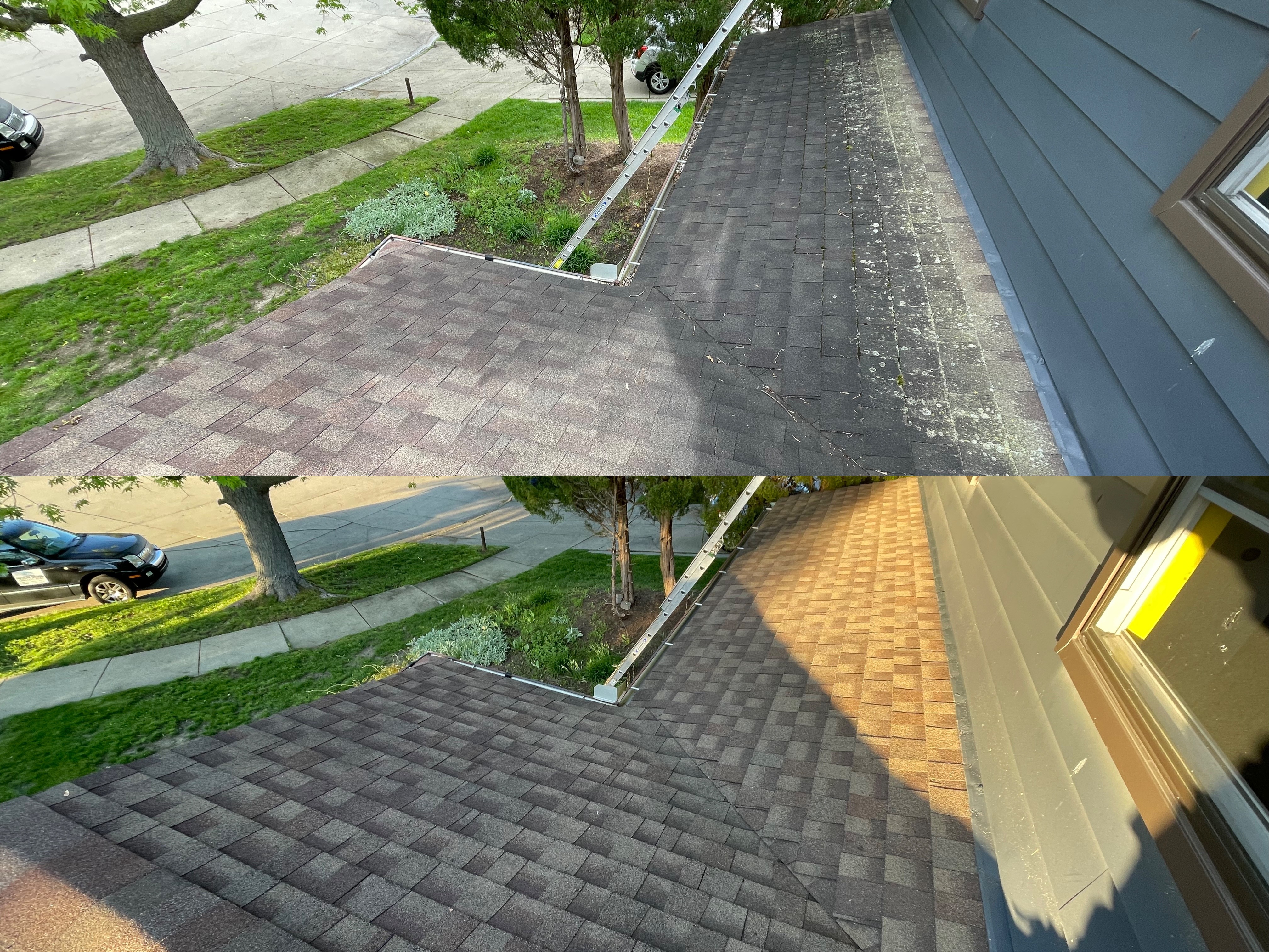 Roof Cleaning Before & After